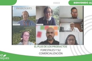Último foro Último foro