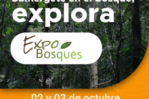 Agenda_01 Agenda Expobosques Cali 2025