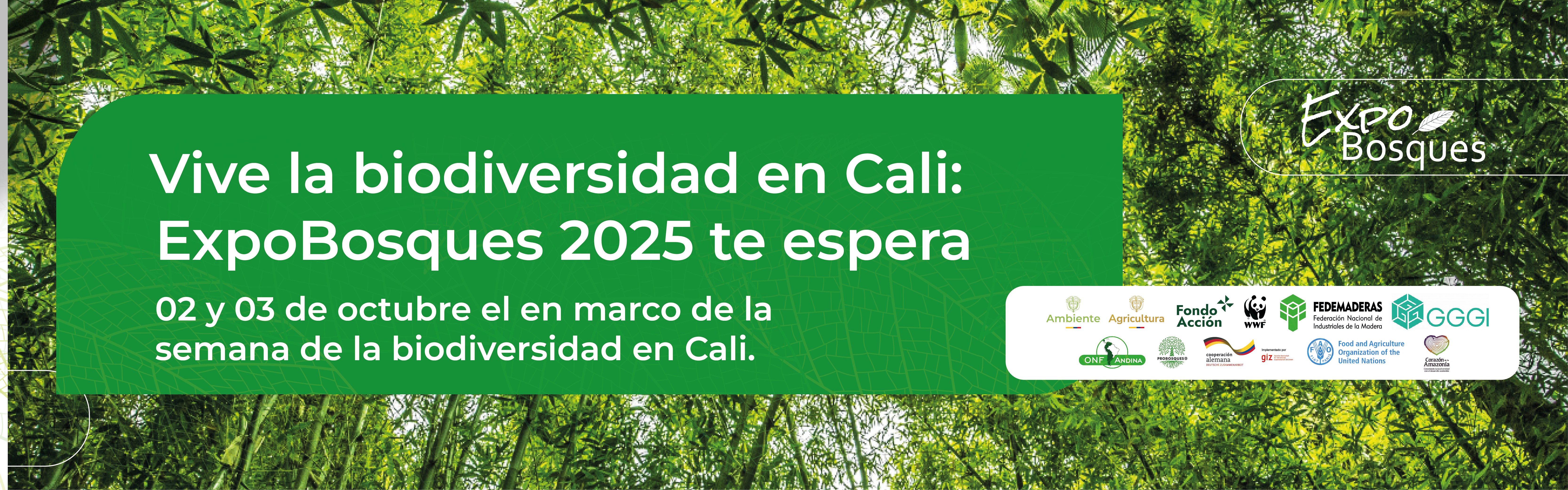 ExpoBosques 2025: los bosques protagonistas de la Semana de la Biodiversidad en Cali