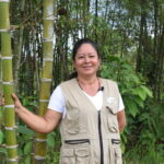 AMEBAMBU
